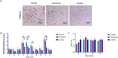 Endoplasmic reticulum stress and ubiquitin-proteasome system impairment in natural scrapie